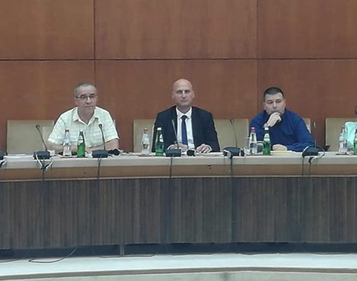 Ateliere de informare pentru membrii consiliilor naționale ale minorităților naționale cu ocazia viitorului recensământ